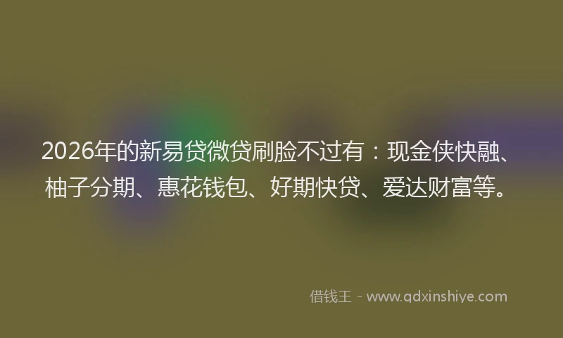 2026年的新易贷微贷刷脸不过有：现金侠快融、柚子分期、惠花钱包、好期快贷、爱达财富等。