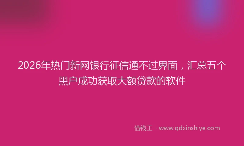 2026年热门新网银行征信通不过界面，汇总五个黑户成功获取大额贷款的软件