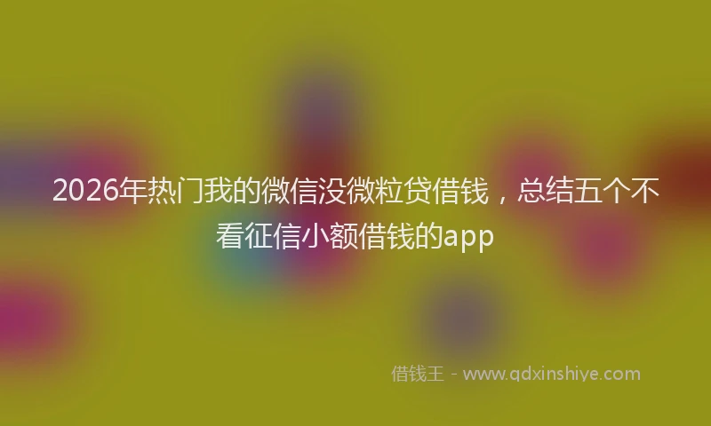 2026年热门我的微信没微粒贷借钱，总结五个不看征信小额借钱的app