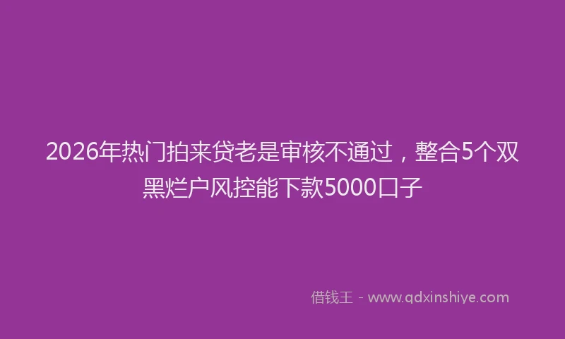 2026年热门拍来贷老是审核不通过，整合5个双黑烂户风控能下款5000口子