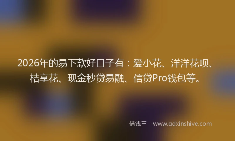 2026年的易下款好口子有：爱小花、洋洋花呗、桔享花、现金秒贷易融、信贷Pro钱包等。