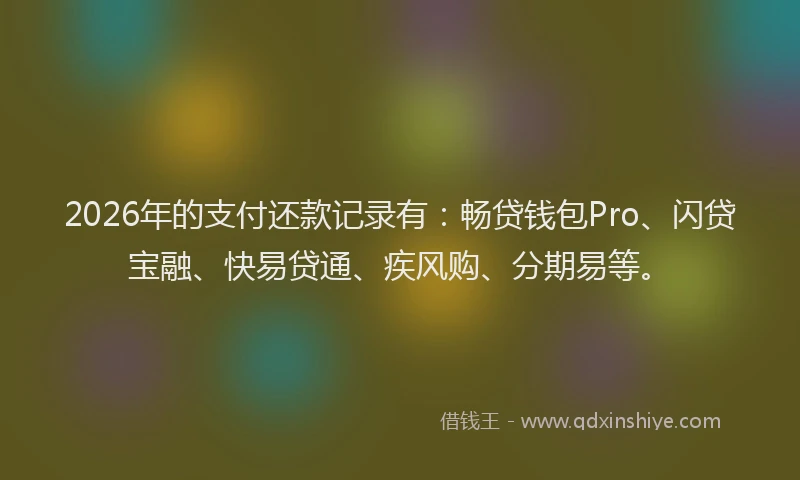 2026年的支付还款记录有:畅贷钱包Pro、闪贷宝融、快易贷通、疾风购、分期易等。