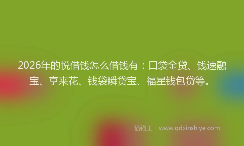 2026年的悦借钱怎么借钱有：口袋金贷、钱速融宝、享来花、钱袋瞬贷宝、福星钱包贷等。