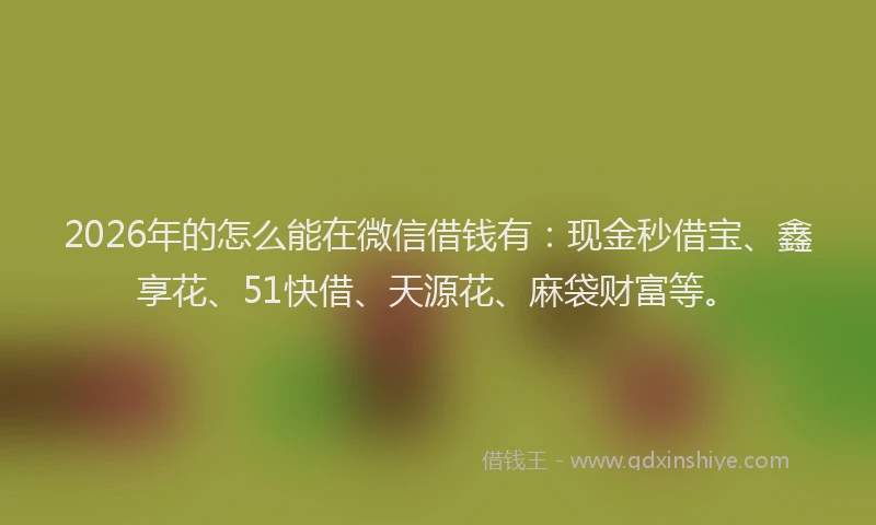 2026年的怎么能在微信借钱有：现金秒借宝、鑫享花、51快借、天源花、麻袋财富等。