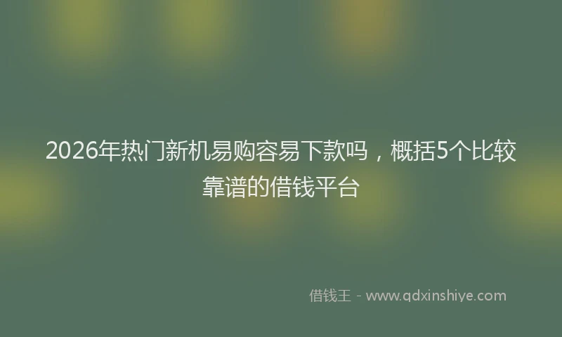 2026年热门新机易购容易下款吗，概括5个比较靠谱的借钱平台