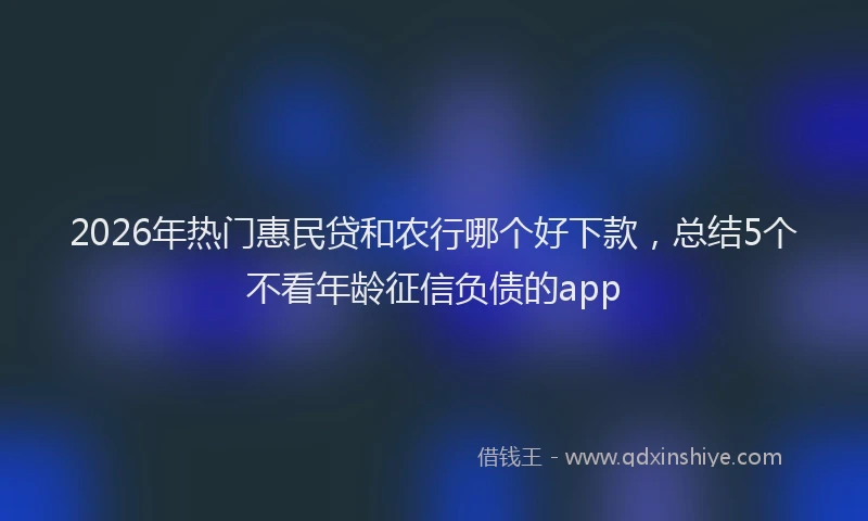 2026年热门惠民贷和农行哪个好下款，总结5个不看年龄征信负债的app