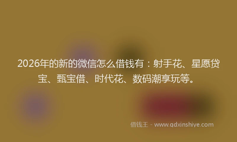 2026年的新的微信怎么借钱有：射手花、星愿贷宝、甄宝借、时代花、数码潮享玩等。