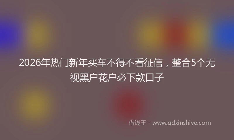 2026年热门新年买车不得不看征信，整合5个无视黑户花户必下款口子