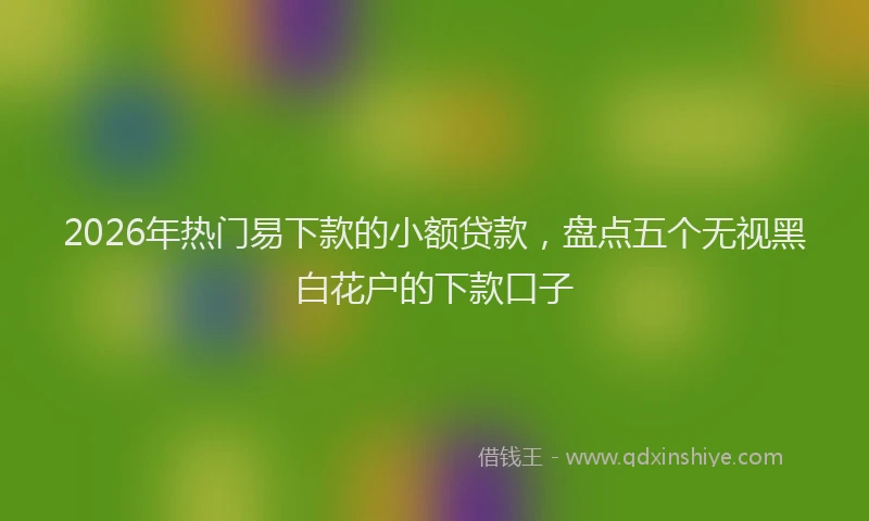 2026年热门易下款的小额贷款,盘点五个无视黑白花户的下款口子