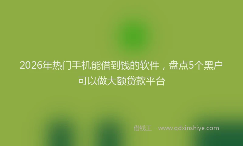 2026年热门手机能借到钱的软件，盘点5个黑户可以做大额贷款平台