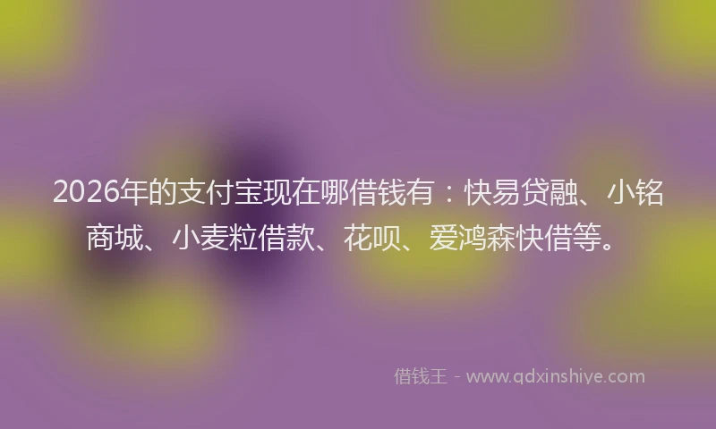 2026年的支付宝现在哪借钱有：快易贷融、小铭商城、小麦粒借款、花呗、爱鸿森快借等。