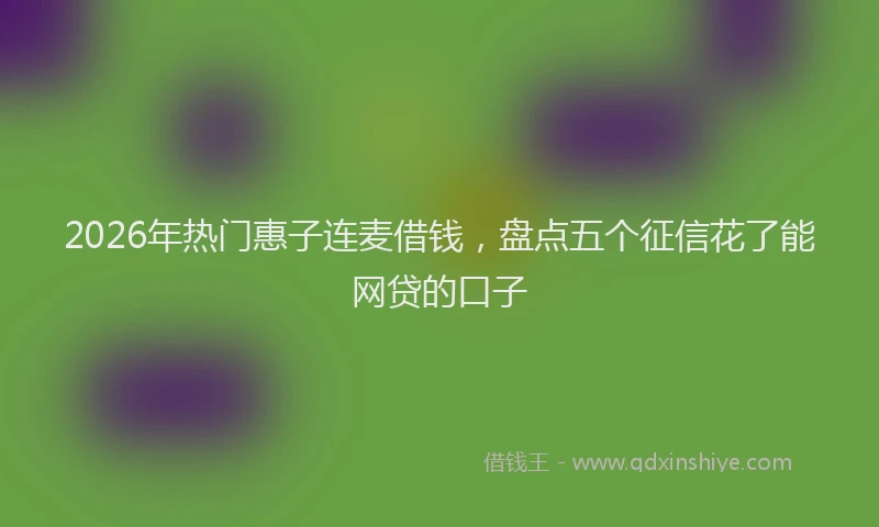 2026年热门惠子连麦借钱，盘点五个征信花了能网贷的口子