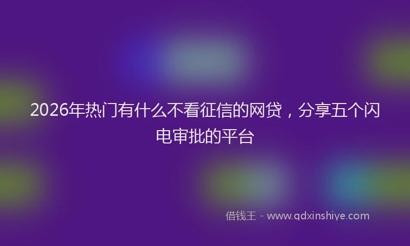 2026年热门有什么不看征信的网贷，分享五个闪电审批的平台