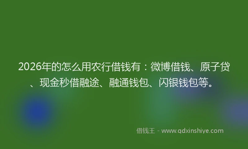 2026年的怎么用农行借钱有：微博借钱、原子贷、现金秒借融途、融通钱包、闪银钱包等。