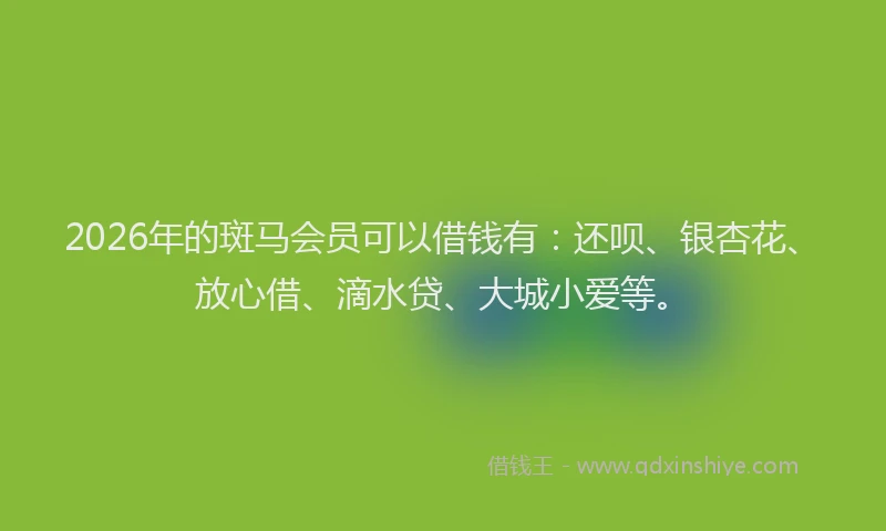 2026年的斑马会员可以借钱有：还呗、银杏花、放心借、滴水贷、大城小爱等。