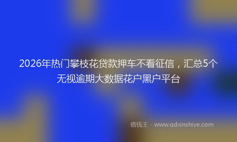 2026年热门攀枝花贷款押车不看征信，汇总5个无视逾期大数据花户黑户平台