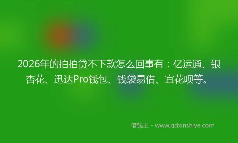 2026年的拍拍贷不下款怎么回事有：亿运通、银杏花、迅达Pro钱包、钱袋易借、宜花呗等。