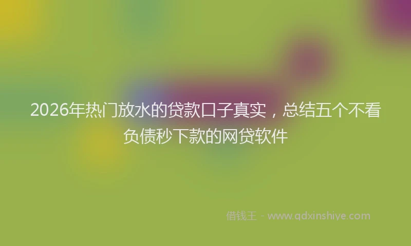 2026年热门放水的贷款口子真实，总结五个不看负债秒下款的网贷软件
