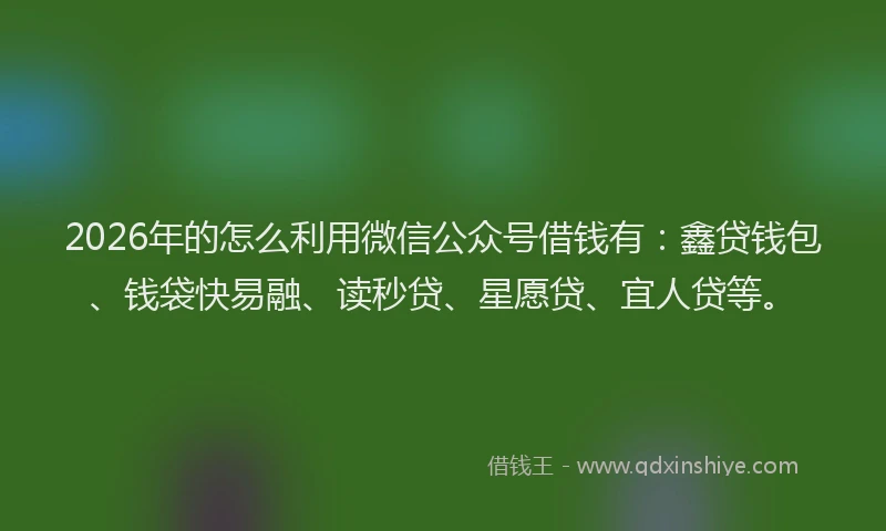 2026年的怎么利用微信公众号借钱有：鑫贷钱包、钱袋快易融、读秒贷、星愿贷、宜人贷等。
