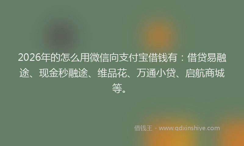 2026年的怎么用微信向支付宝借钱有：借贷易融途、现金秒融途、维品花、万通小贷、启航商城等。