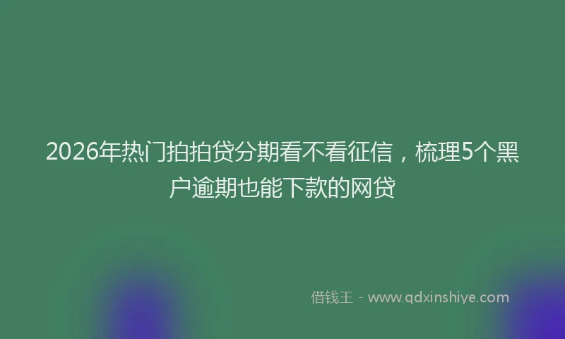 2026年热门拍拍贷分期看不看征信，梳理5个黑户逾期也能下款的网贷