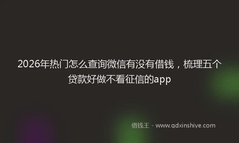 2026年热门怎么查询微信有没有借钱，梳理五个贷款好做不看征信的app