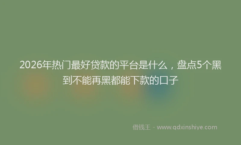 2026年热门最好贷款的平台是什么，盘点5个黑到不能再黑都能下款的口子