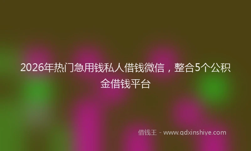 2026年热门急用钱私人借钱微信,整合5个公积金借钱平台