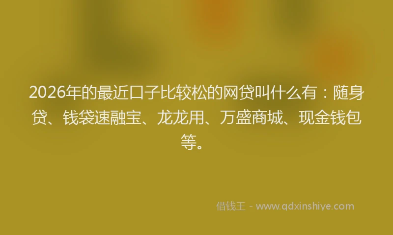 2026年的最近口子比较松的网贷叫什么有：随身贷、钱袋速融宝、龙龙用、万盛商城、现金钱包等。