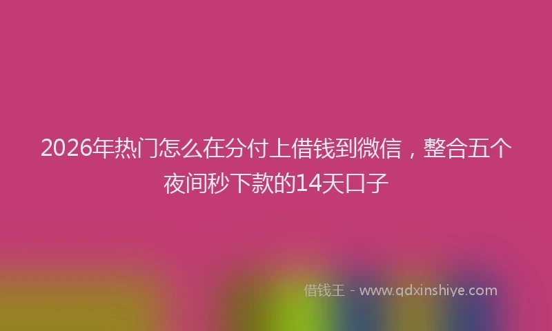 2026年热门怎么在分付上借钱到微信，整合五个夜间秒下款的14天口子