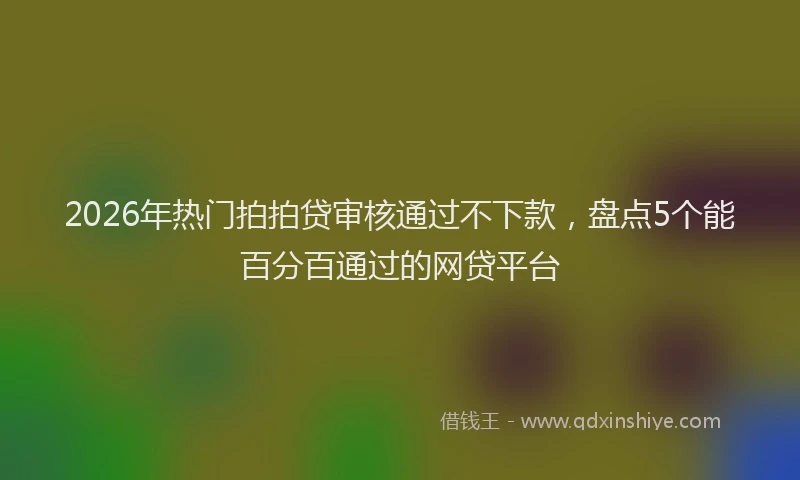 2026年热门拍拍贷审核通过不下款，盘点5个能百分百通过的网贷平台