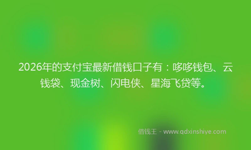 2026年的支付宝最新借钱口子有：哆哆钱包、云钱袋、现金树、闪电侠、星海飞贷等。