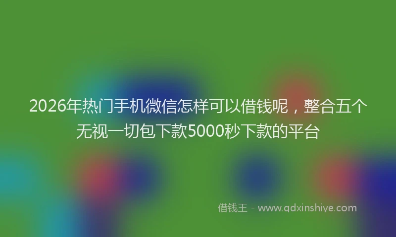 2026年热门手机微信怎样可以借钱呢，整合五个无视一切包下款5000秒下款的平台