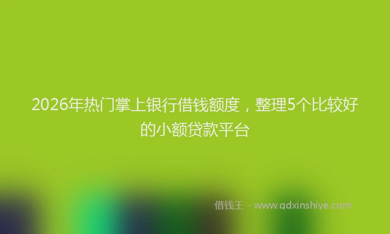 2026年热门掌上银行借钱额度，整理5个比较好的小额贷款平台