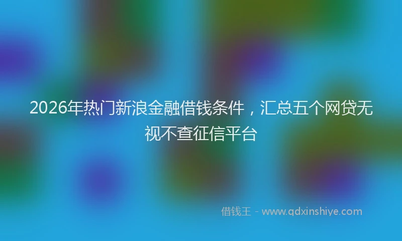2026年热门新浪金融借钱条件，汇总五个网贷无视不查征信平台