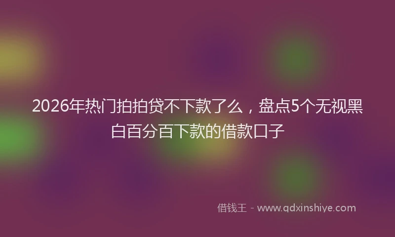 2026年热门拍拍贷不下款了么，盘点5个无视黑白百分百下款的借款口子