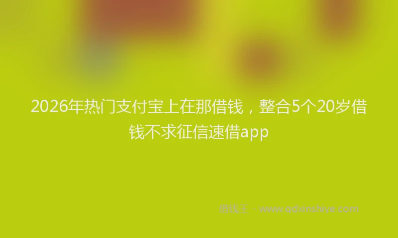 2026年热门支付宝上在那借钱，整合5个20岁借钱不求征信速借app