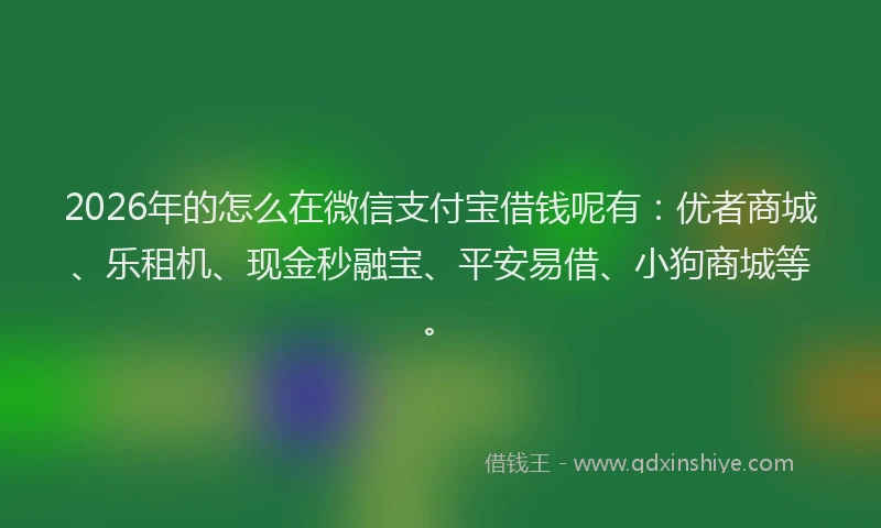 2026年的怎么在微信支付宝借钱呢有：优者商城、乐租机、现金秒融宝、平安易借、小狗商城等。