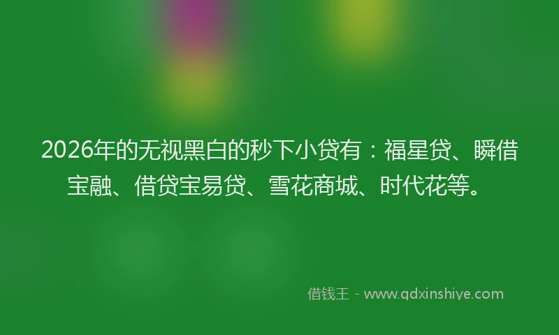 2026年的无视黑白的秒下小贷有：福星贷、瞬借宝融、借贷宝易贷、雪花商城、时代花等。
