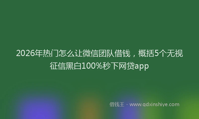 2026年热门怎么让微信团队借钱，概括5个无视征信黑白100%秒下网贷app