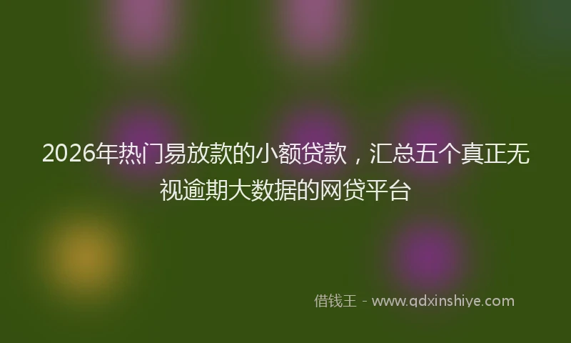 2026年热门易放款的小额贷款，汇总五个真正无视逾期大数据的网贷平台