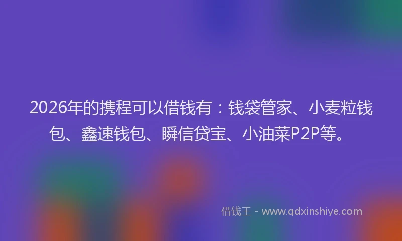 2026年的携程可以借钱有：钱袋管家、小麦粒钱包、鑫速钱包、瞬信贷宝、小油菜P2P等。