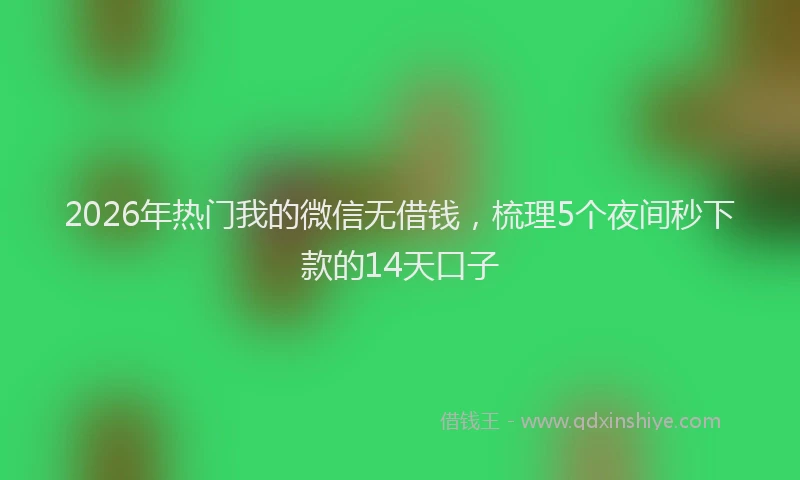 2026年热门我的微信无借钱，梳理5个夜间秒下款的14天口子
