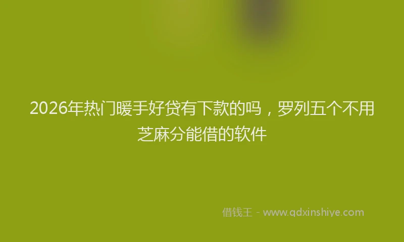 2026年热门暖手好贷有下款的吗，罗列五个不用芝麻分能借的软件