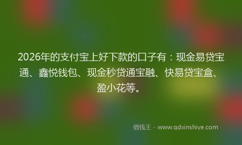 2026年的支付宝上好下款的口子有：现金易贷宝通、鑫悦钱包、现金秒贷通宝融、快易贷宝盒、盈小花等。