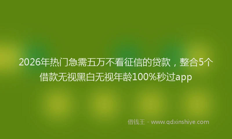 2026年热门急需五万不看征信的贷款，整合5个借款无视黑白无视年龄100%秒过app