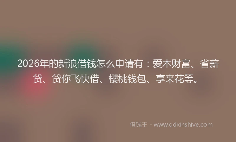 2026年的新浪借钱怎么申请有：爱木财富、省薪贷、贷你飞快借、樱桃钱包、享来花等。