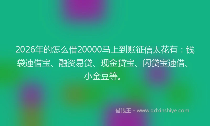 2026年的怎么借20000马上到账征信太花有：钱袋速借宝、融资易贷、现金贷宝、闪贷宝速借、小金豆等。