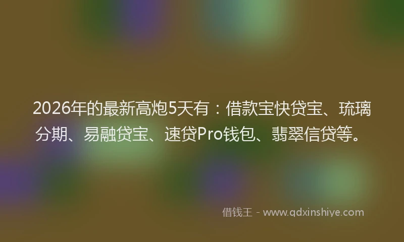 2026年的最新高炮5天有：借款宝快贷宝、琉璃分期、易融贷宝、速贷Pro钱包、翡翠信贷等。