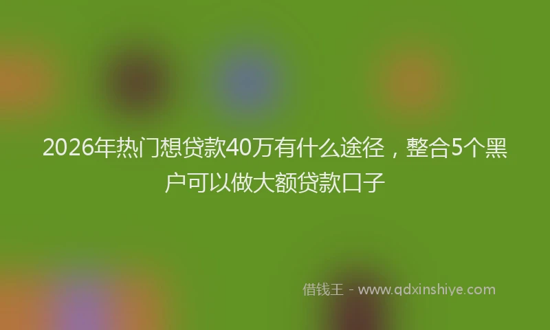 2026年热门想贷款40万有什么途径，整合5个黑户可以做大额贷款口子